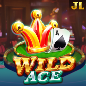 Wild Ace Orion Play